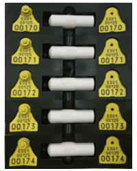 Kit bolo 75 gramos + crotal oficial