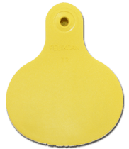 Bovine Eartag