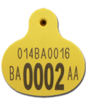 Junior Eartag
