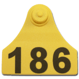 OfiJunior Eartag