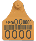 Official Cow Eartag