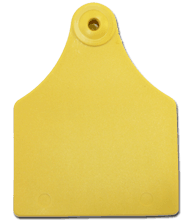 Cow F1 Eartag