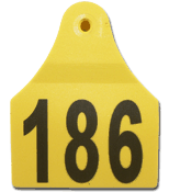 Cow M4 Eartag