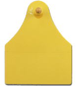 Cow M4 Eartag