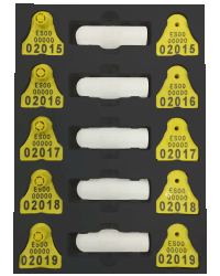 Kit bolo 75 gramos + crotal oficial